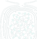Visual representation of step 1: The Organism