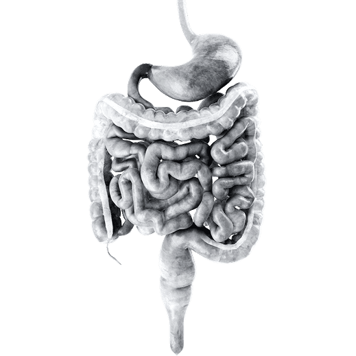 IBD