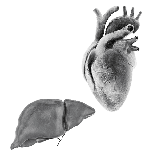 Metabolic Disease