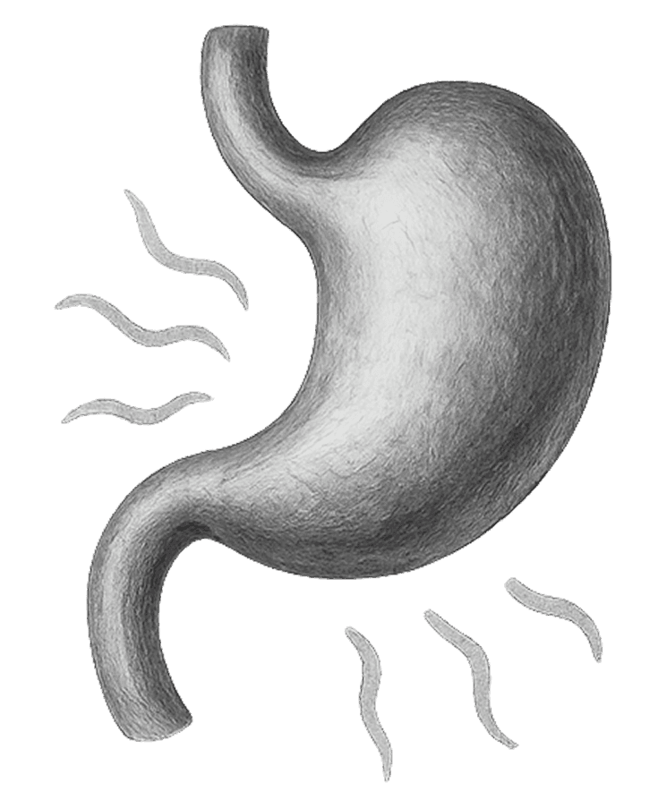 Gastroenteritis
