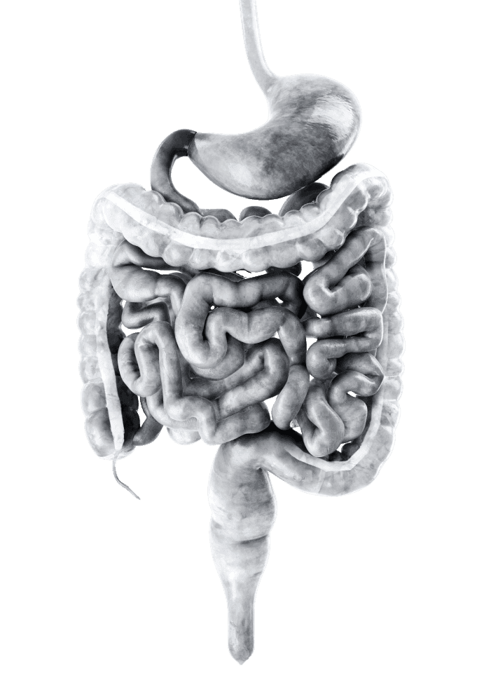 IBD