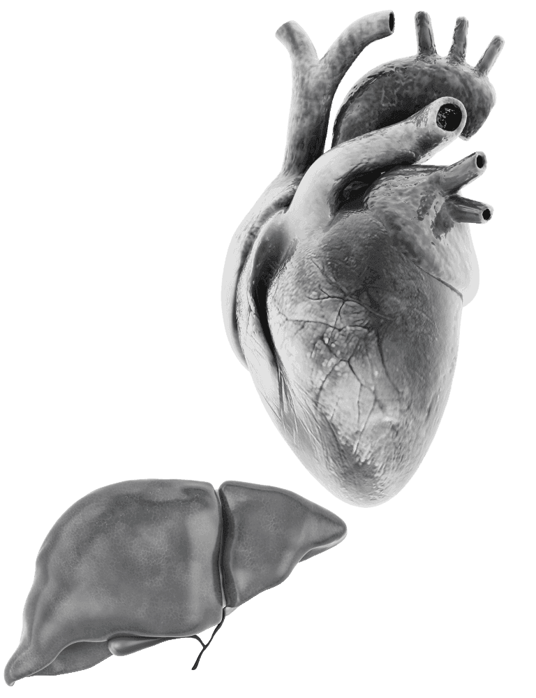 Metabolic Disease