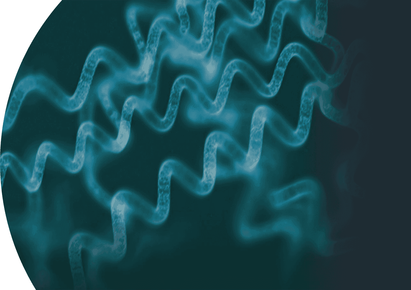 Accelerating cures. Expanding access.