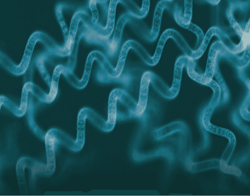 Accelerating cures. Expanding access.