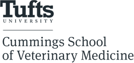Tufts University – Cummings School of Veterinary Medicine