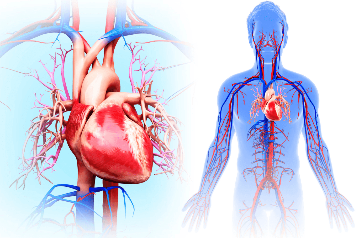 Lumen and Novo Nordisk link up on oral biologics for cardiometabolic disease