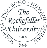 the rockefeller university