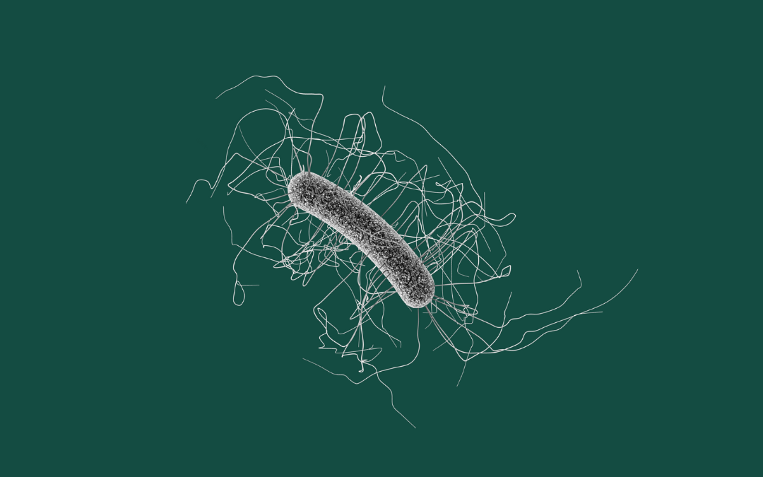 Lumen Bioscience Launches Phase 1 Trial of Oral Biologic Drug for Preventing C. difficile Infection Recurrence