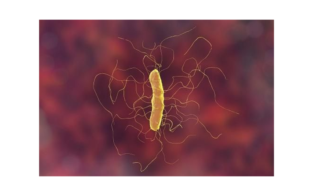Lumen Bioscience Announces Clinical Advancement of LMN-201 for C. difficile Infection