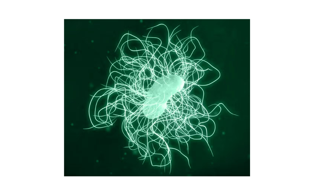 Lumen Bioscience Receives Fast Track Designation from U.S. FDA for LMN-201