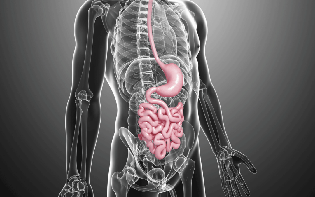 Lumen lands another DoD contract to treat Covid-related GI issues