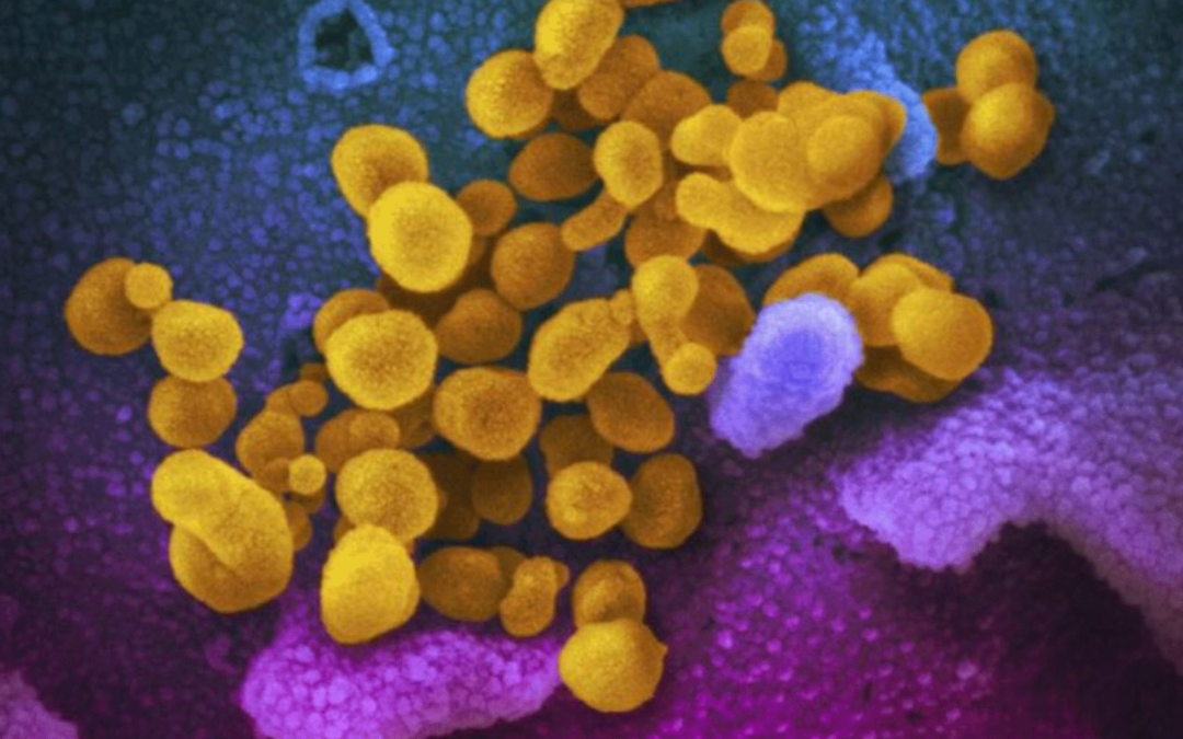 COVID drugs come in 3 flavors; it’s time for more diversity