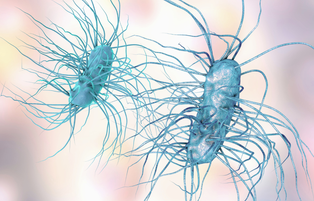 Lumen Bioscience Receives CARB-X Award to Develop Preventative for Deadly Diarrheal Diseases and Details Broad Potential of Spirulina Platform