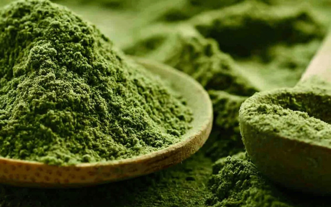 From superfood to medicine maker, spirulina is a new cellular factory