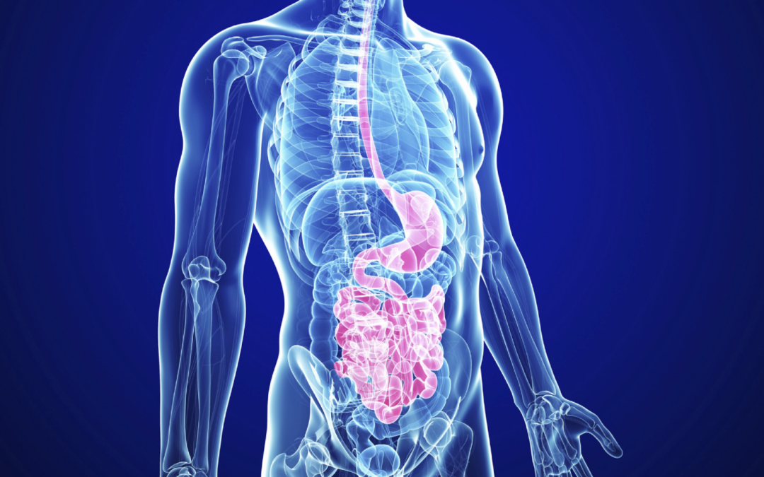 Developing a biologic to prevent gastrointestinal diseases