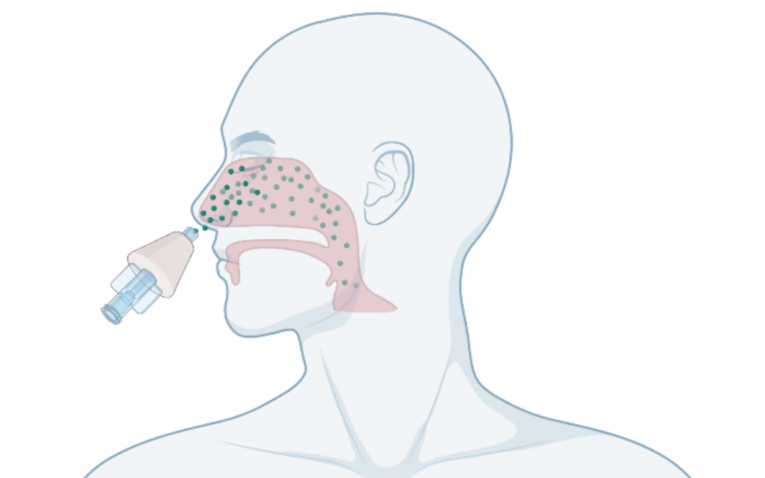 Intranasal passive vaccines: thinking beyond the jab