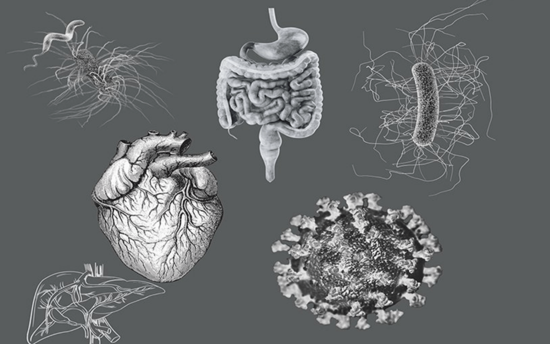 Special Report: Reinventing Biologic Drugs