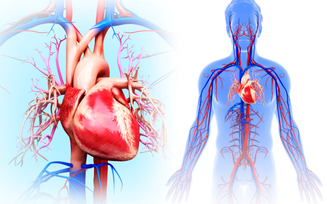 Lumen and Novo Nordisk link up on oral biologics for cardiometabolic disease