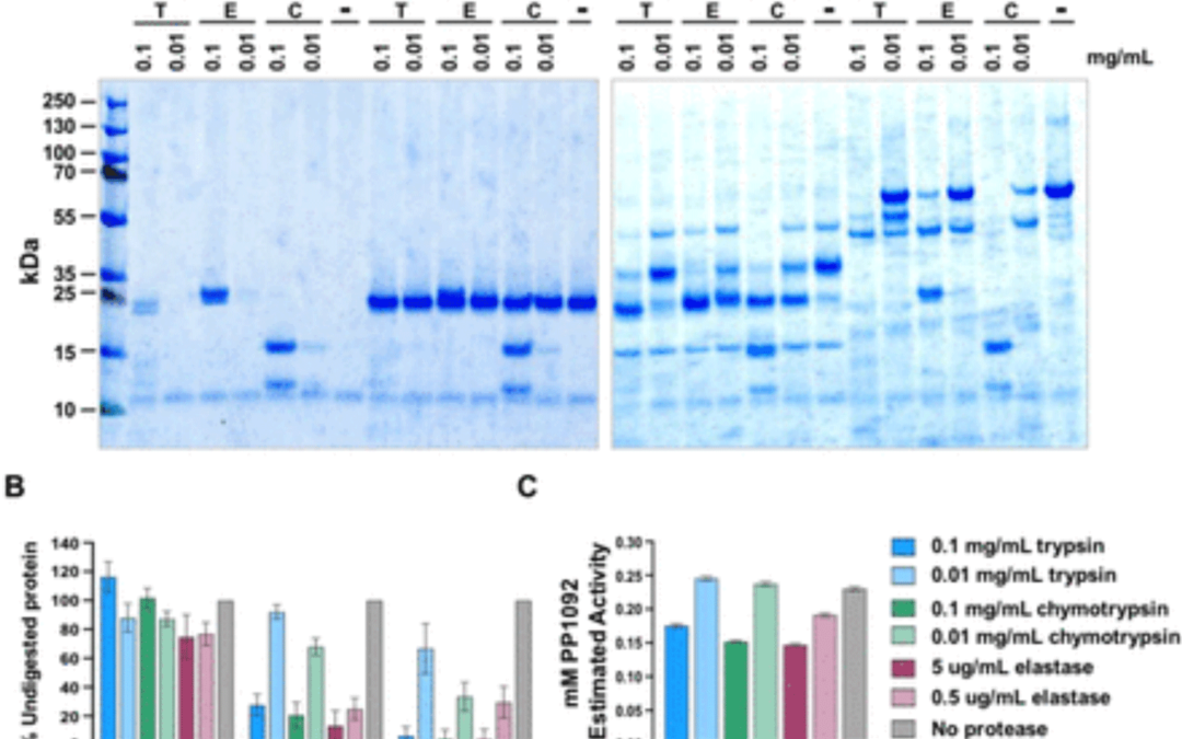 Using antibody synergy to engineer a high potency biologic cocktail against C. difficile