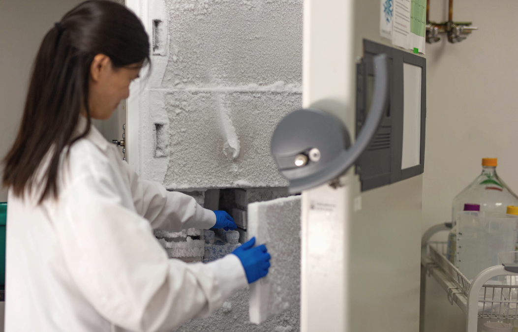Lumen Bioscience reels in $16M Series B to democratize biologics