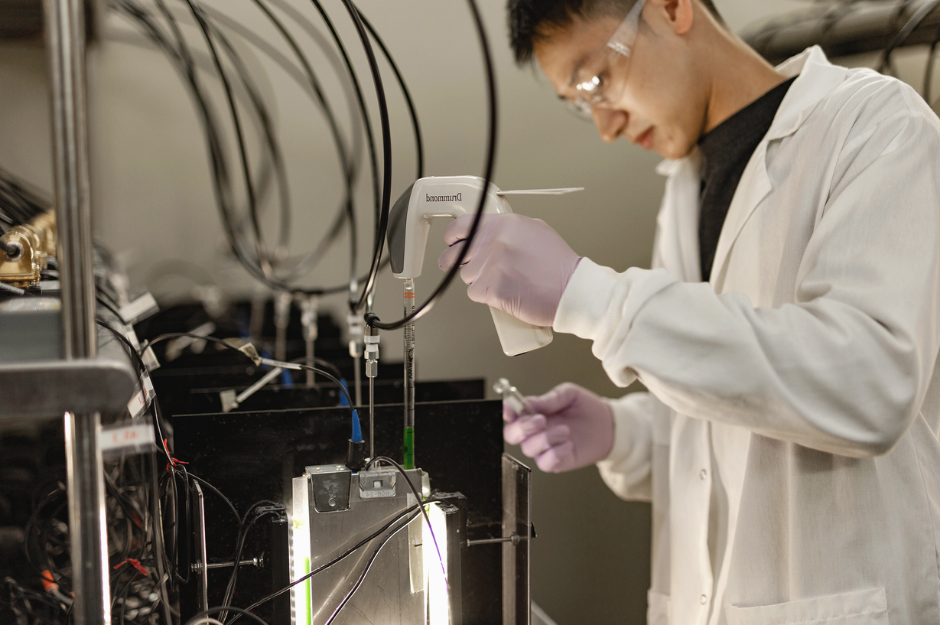 A spirulina-based biomanufacturing platform