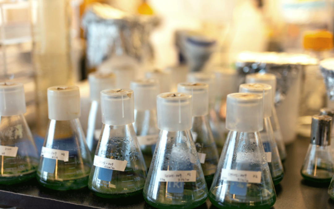 Lumen Bioscience Hacks Spirulina to Generate Biologics