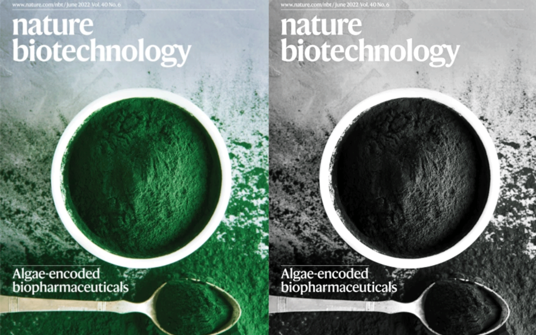 Algae-encoded biopharmaceuticals